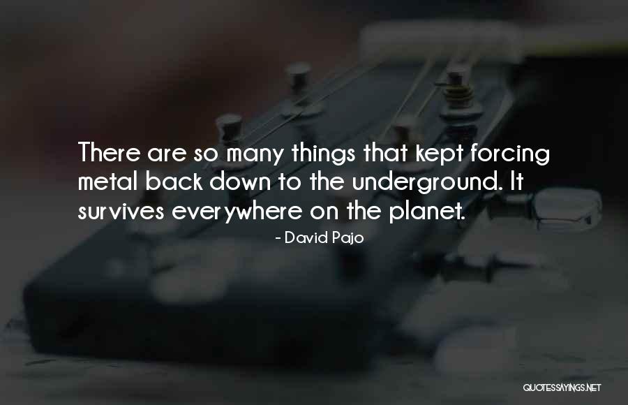 Benigna Creek Quotes By David Pajo Benigna Creek Quotes By David Pajo