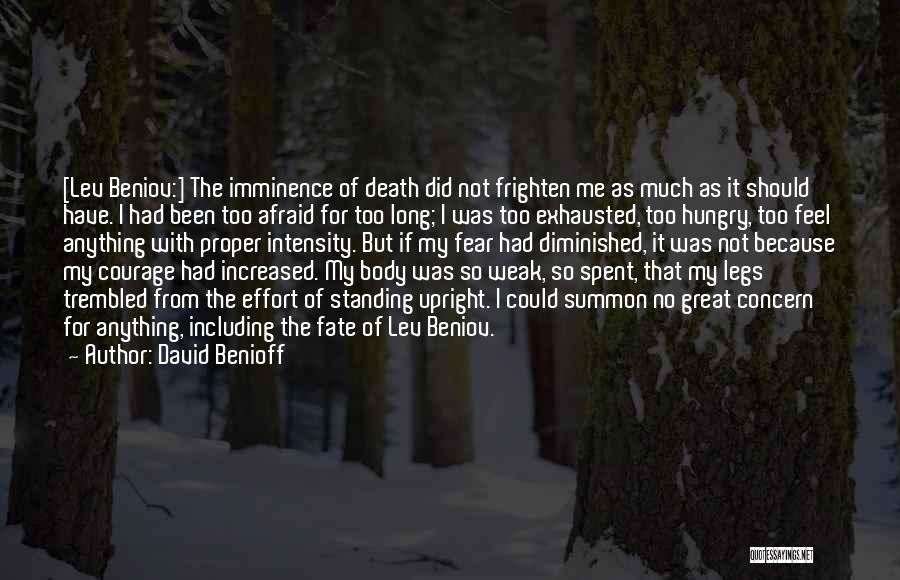 Benioff Quotes By David Benioff