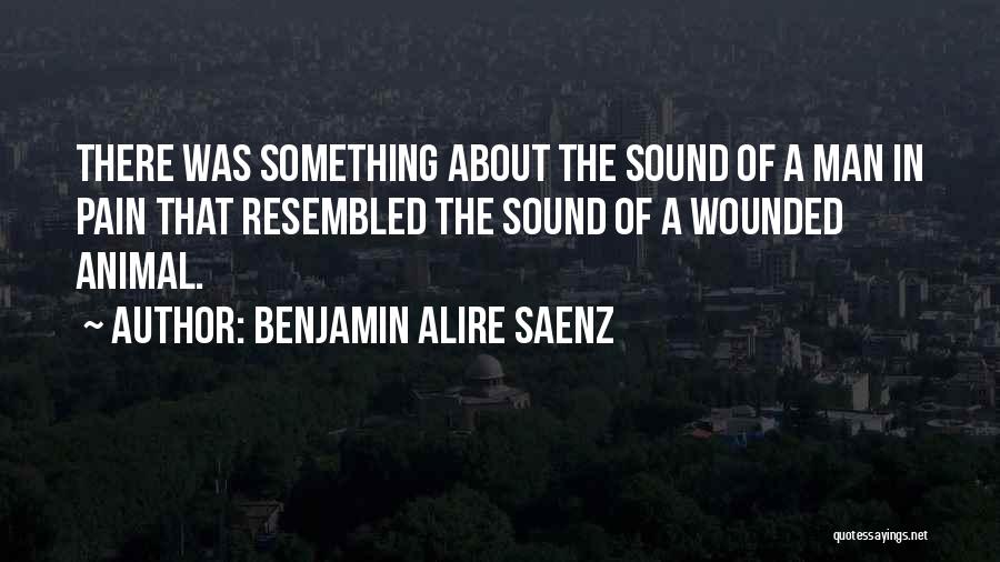 Benjamin Alire Saenz Quotes 1745128