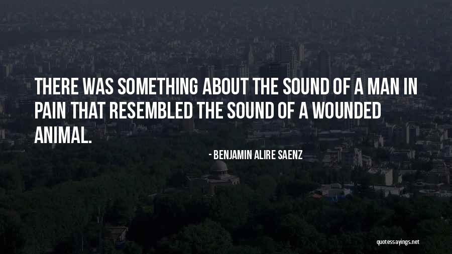 Benjamin Alire Saenz Quotes 1745128