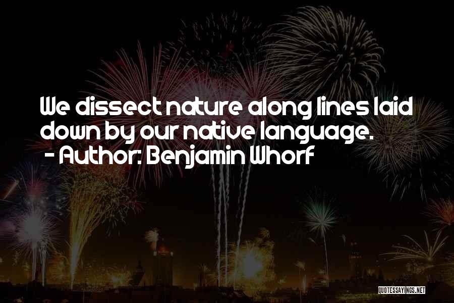 Benjamin Whorf Quotes 1587030