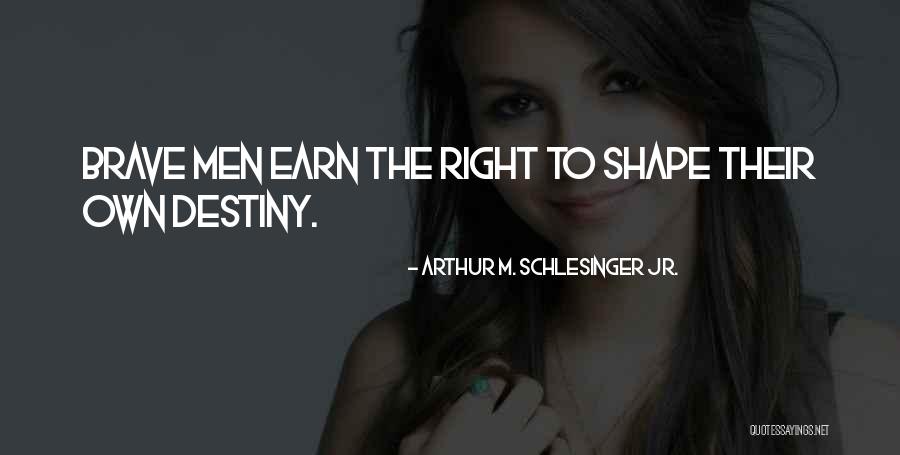 Benjamini And Hochberg Quotes By Arthur M. Schlesinger Jr. Benjamini And Hochberg Quotes By Arthur M. Schlesinger Jr.
