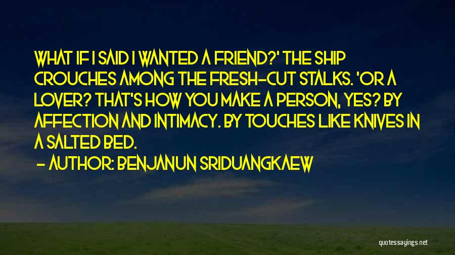 Benjanun Sriduangkaew Quotes 1670510