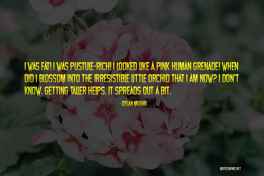 Benlik Saygisi Quotes By Dylan Moran Benlik Saygisi Quotes By Dylan Moran