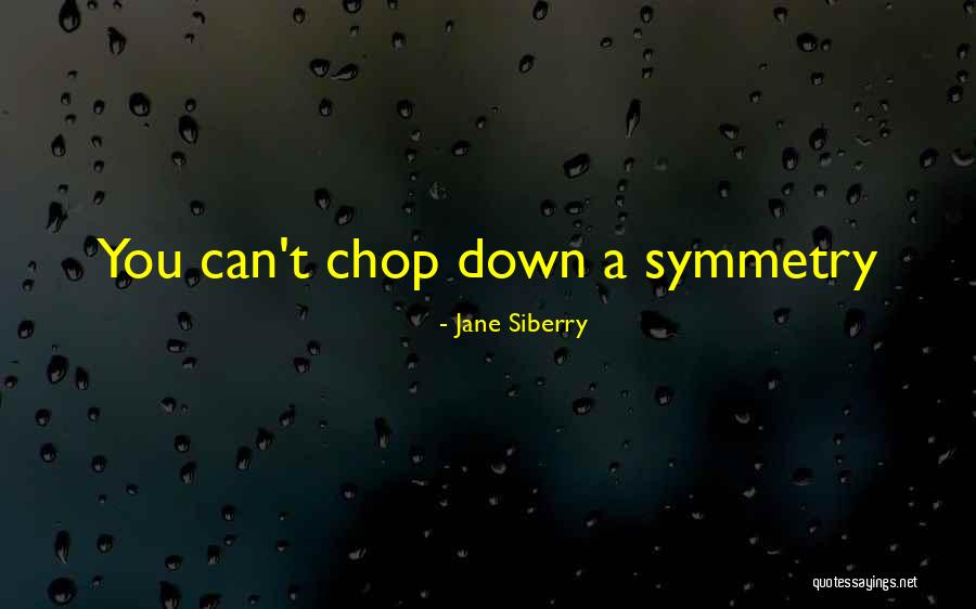 Benmakhlouf Samir Quotes By Jane Siberry Benmakhlouf Samir Quotes By Jane Siberry
