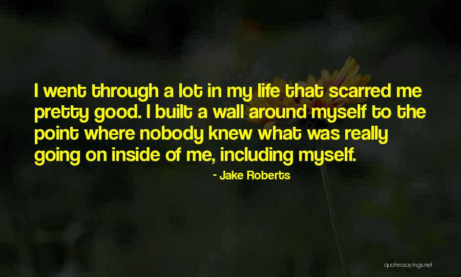 Benn Nket Quotes By Jake Roberts Benn Nket Quotes By Jake Roberts