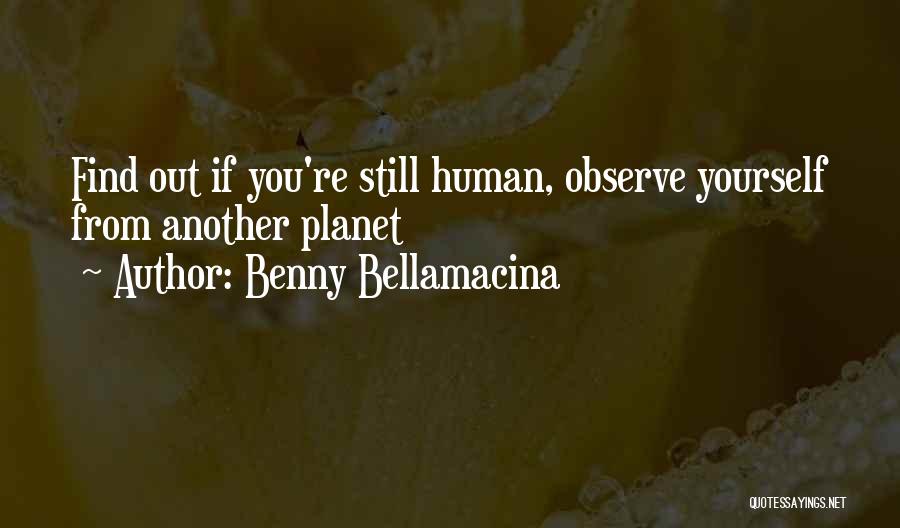 Benny Bellamacina Quotes 2052044