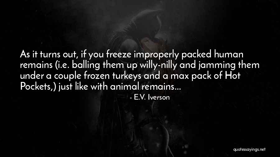 Beno T Mandelbrot Quotes By E.V. Iverson Beno T Mandelbrot Quotes By E.V. Iverson