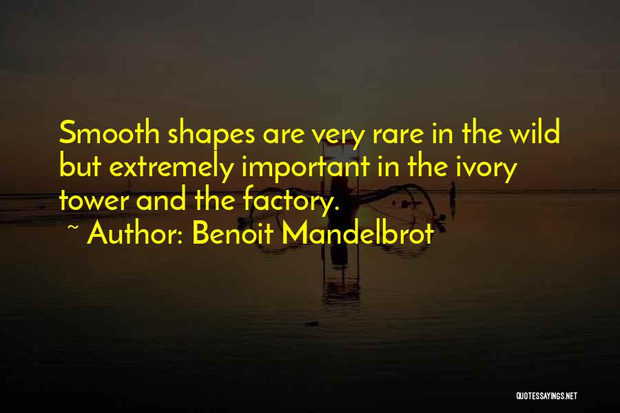 Benoit Mandelbrot Quotes 1951771