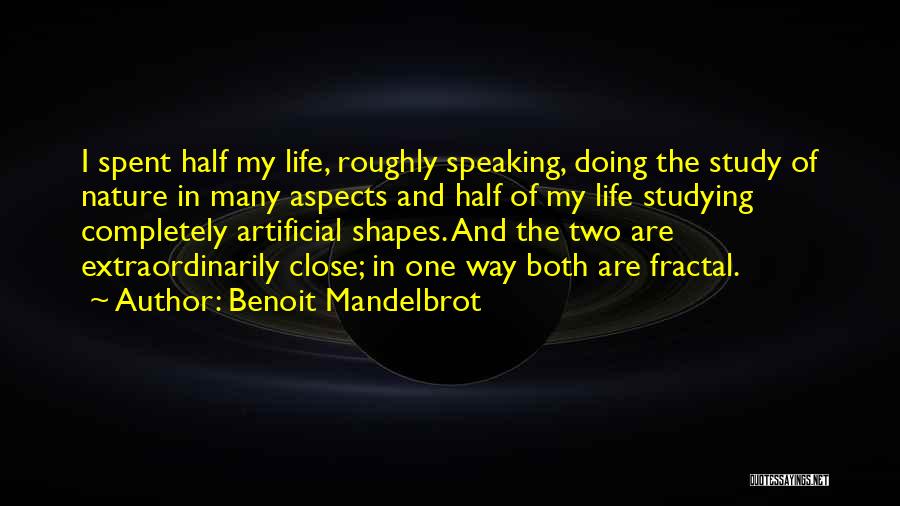 Benoit Mandelbrot Quotes 550543