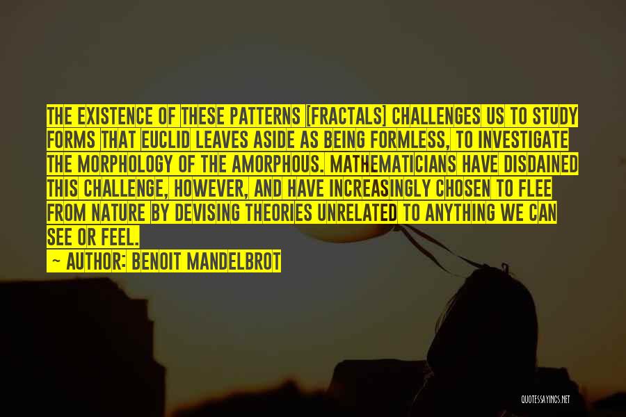 Benoit Mandelbrot Quotes 740011