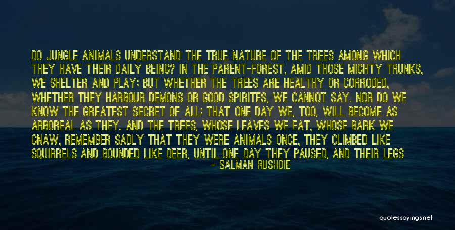 Bensalah Malade Quotes By Salman Rushdie Bensalah Malade Quotes By Salman Rushdie