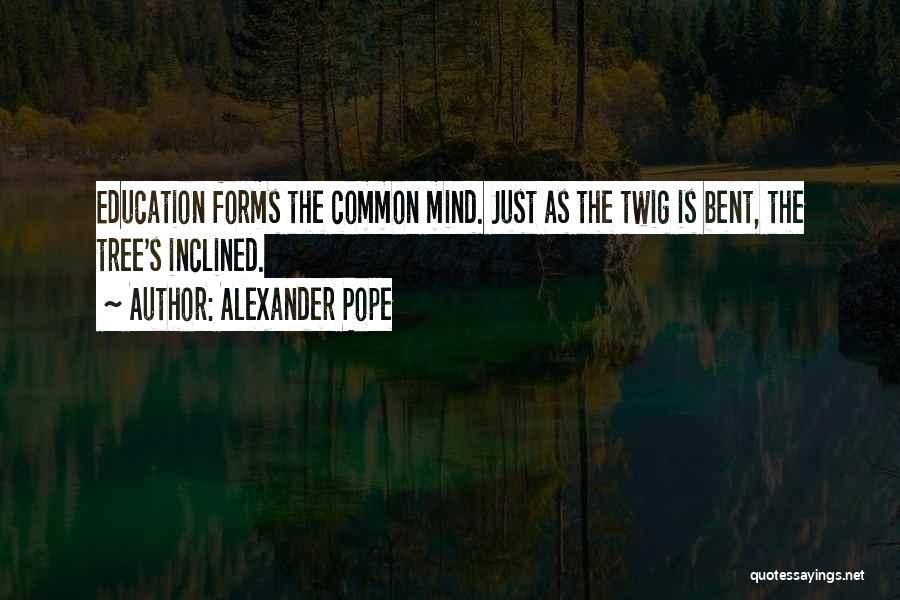 Bent Tree Quotes By Alexander Pope