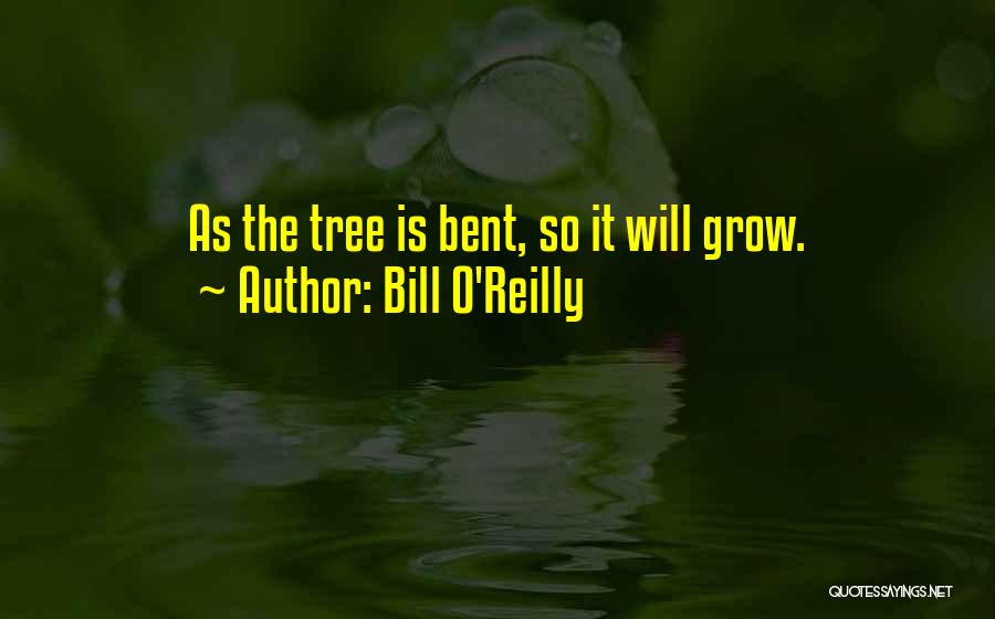 Bent Tree Quotes By Bill O'Reilly