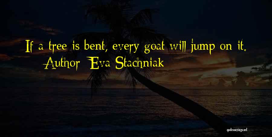 Bent Tree Quotes By Eva Stachniak