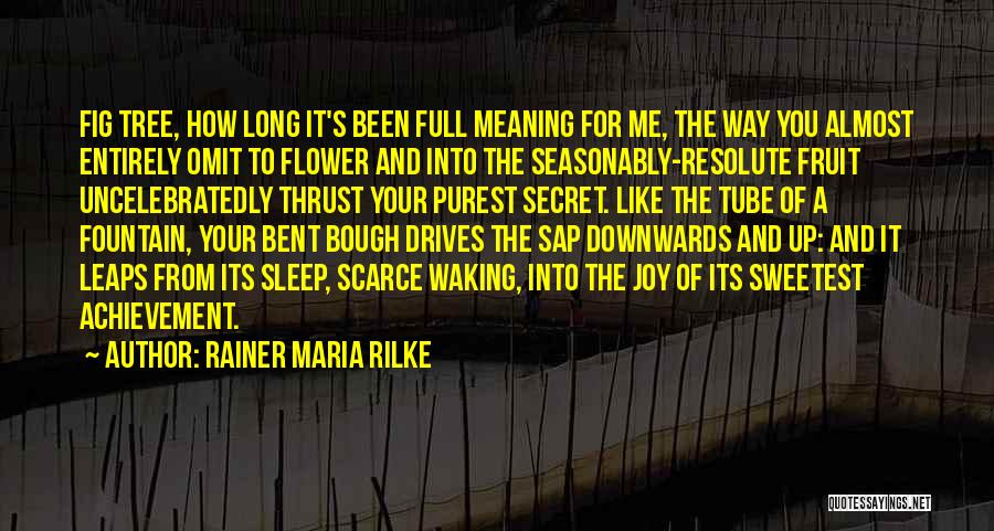 Bent Tree Quotes By Rainer Maria Rilke