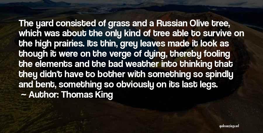 Bent Tree Quotes By Thomas King