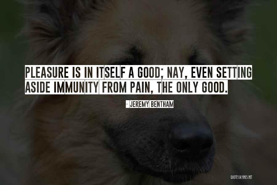 Bentham Quotes By Jeremy Bentham Bentham Quotes By Jeremy Bentham