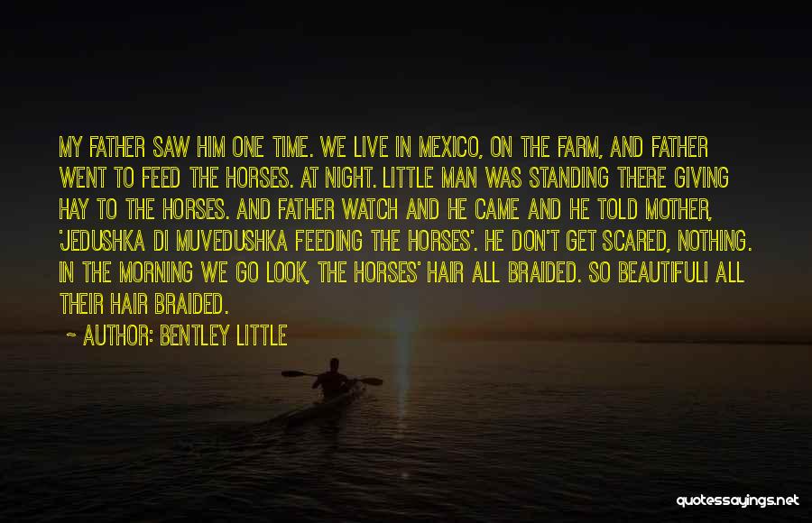Bentley Little Quotes 666616