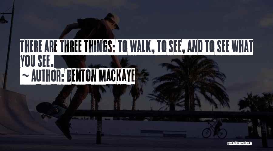 Benton MacKaye Quotes 1097226