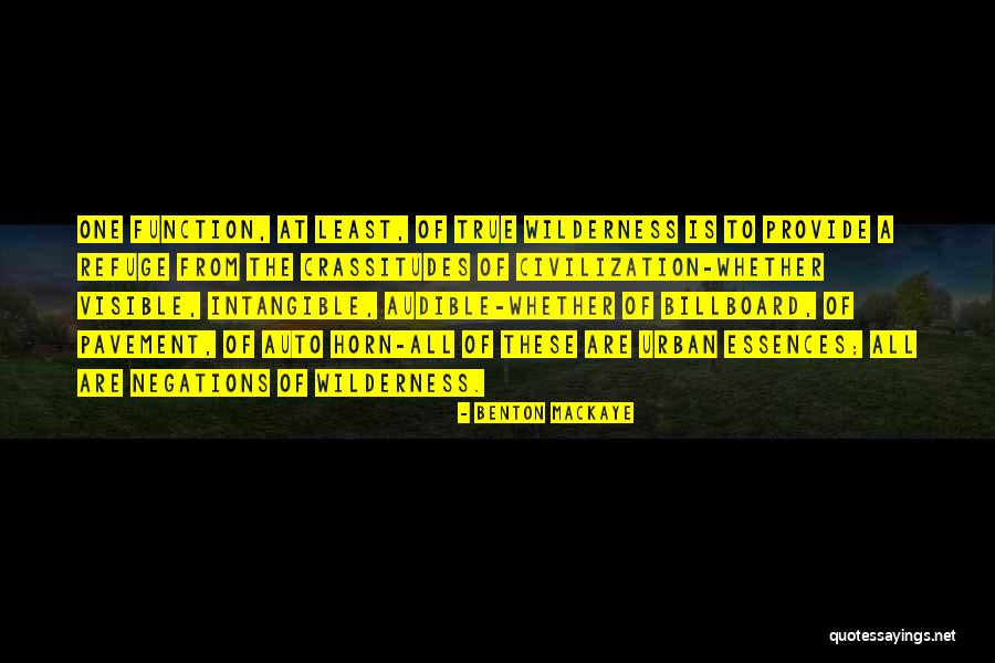 Benton MacKaye Quotes 1460229 Benton MacKaye Quotes 1460229