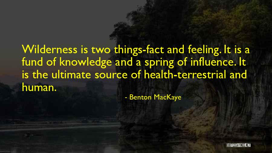 Benton MacKaye Quotes 1705631