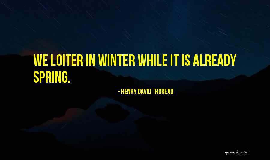 Bentos Gainesville Quotes By Henry David Thoreau Bentos Gainesville Quotes By Henry David Thoreau