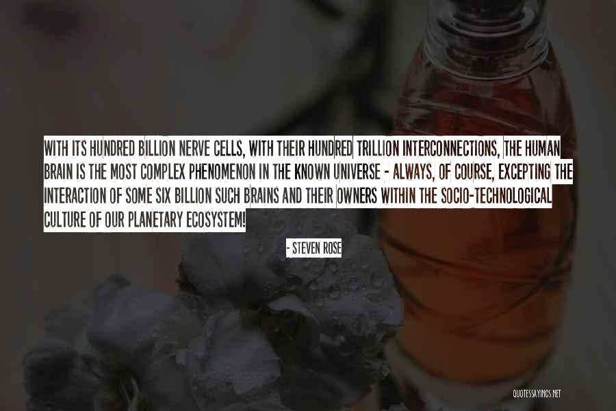 Bentos Portland Quotes By Steven Rose Bentos Portland Quotes By Steven Rose