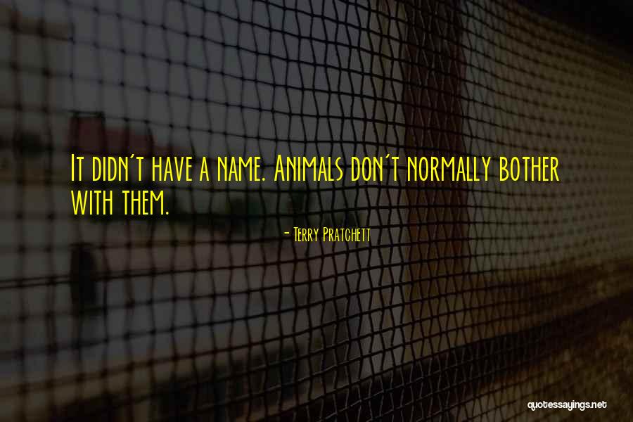 Bentsen Rio Quotes By Terry Pratchett Bentsen Rio Quotes By Terry Pratchett