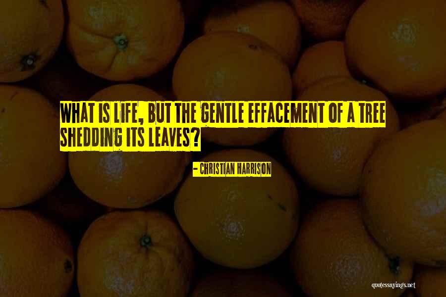 Benyamin Bahadori Quotes By Christian Harrison Benyamin Bahadori Quotes By Christian Harrison