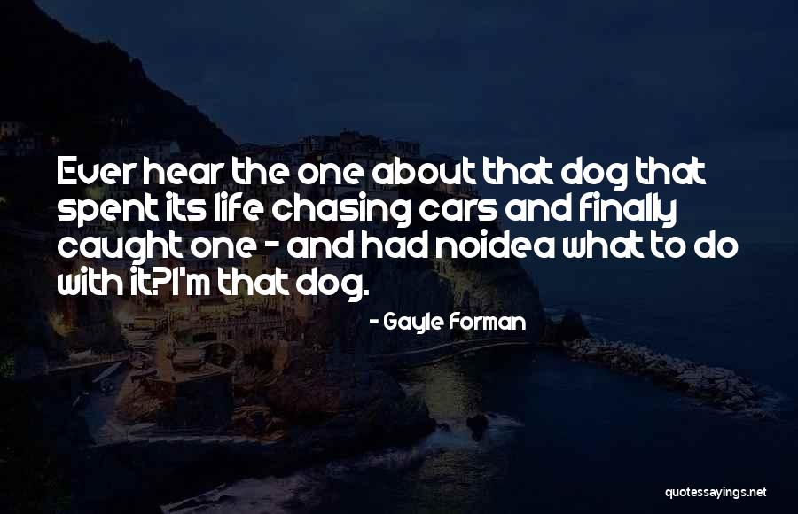 Benyas Donut Quotes By Gayle Forman Benyas Donut Quotes By Gayle Forman
