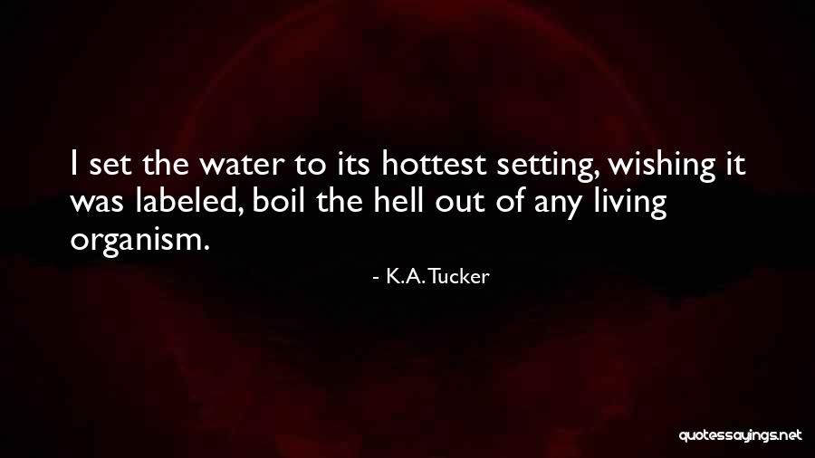 Benzerlik Orani Quotes By K.A. Tucker Benzerlik Orani Quotes By K.A. Tucker