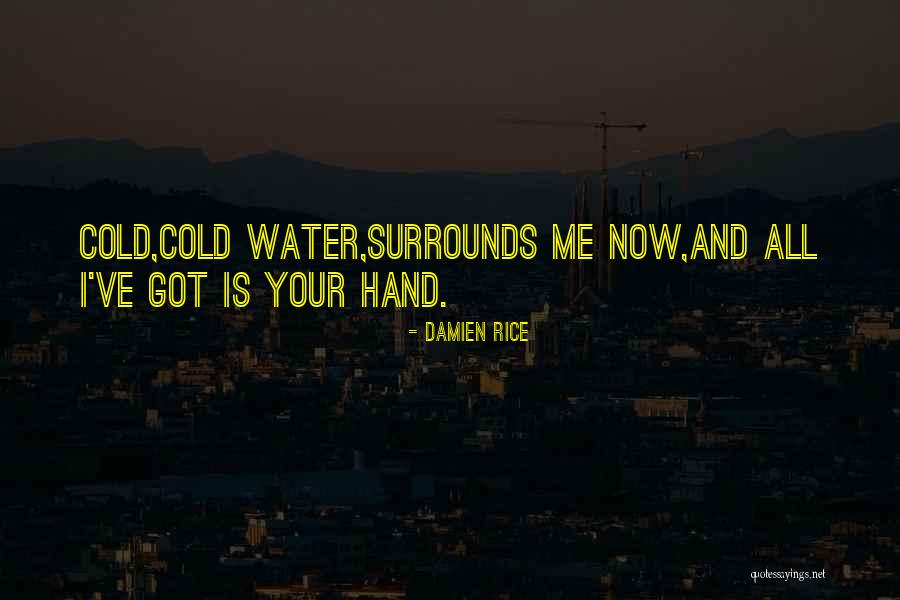 Benziger Winery Quotes By Damien Rice Benziger Winery Quotes By Damien Rice