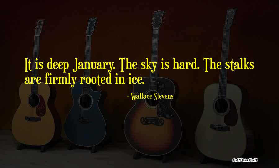 Beranek Inc In Torrance Quotes By Wallace Stevens Beranek Inc In Torrance Quotes By Wallace Stevens