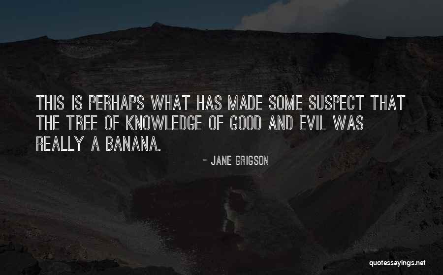 Beranova Sparkling Quotes By Jane Grigson