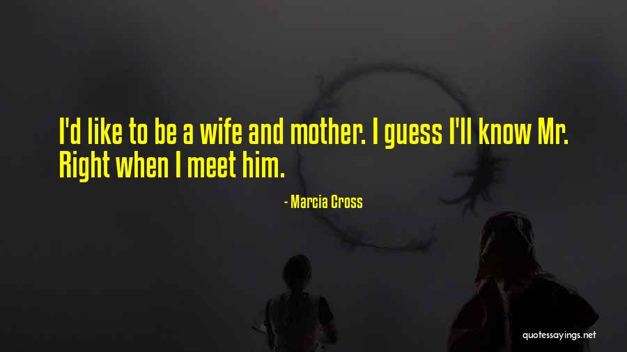 Berardino Quinto Quotes By Marcia Cross Berardino Quinto Quotes By Marcia Cross