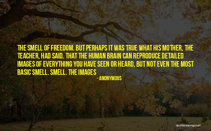 Berardo Collection Quotes By Anonymous Berardo Collection Quotes By Anonymous