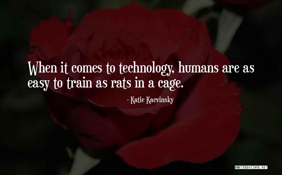 Berardo Quotes By Katie Kacvinsky Berardo Quotes By Katie Kacvinsky