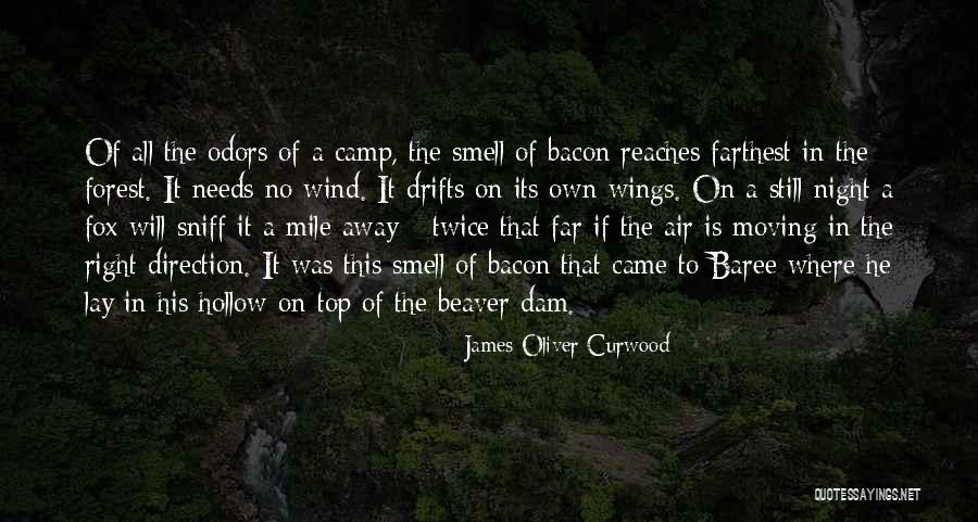 Berbalas Puisi Quotes By James Oliver Curwood Berbalas Puisi Quotes By James Oliver Curwood