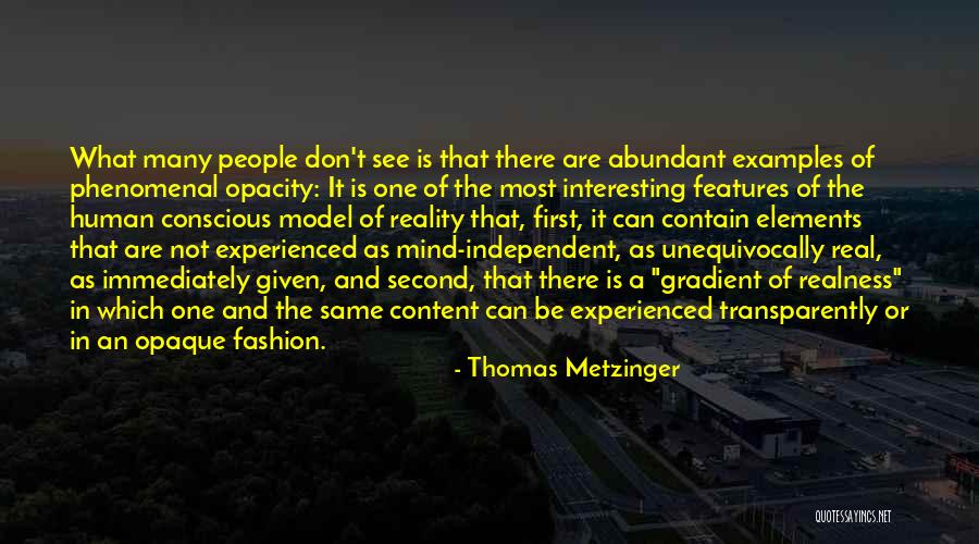 Berbalas Puisi Quotes By Thomas Metzinger Berbalas Puisi Quotes By Thomas Metzinger