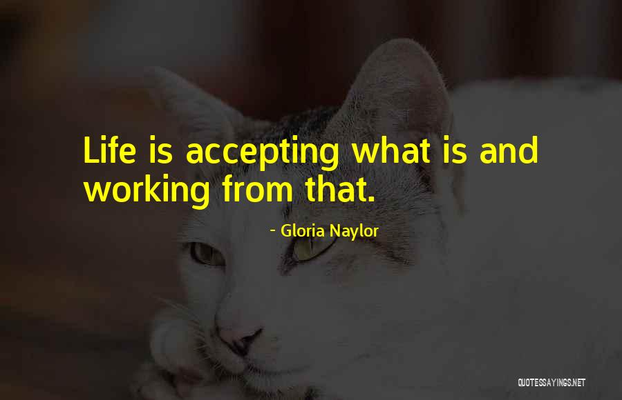 Berceka Quotes By Gloria Naylor Berceka Quotes By Gloria Naylor