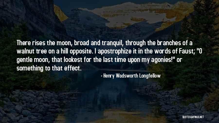 Berdichevsky Walnut Quotes By Henry Wadsworth Longfellow Berdichevsky Walnut Quotes By Henry Wadsworth Longfellow