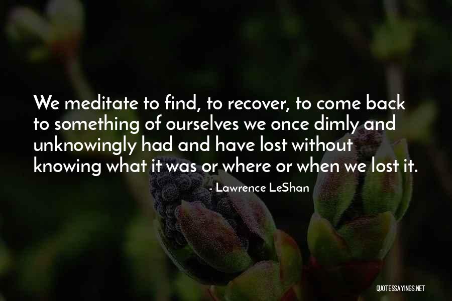 Berdien Schepers Quotes By Lawrence LeShan Berdien Schepers Quotes By Lawrence LeShan