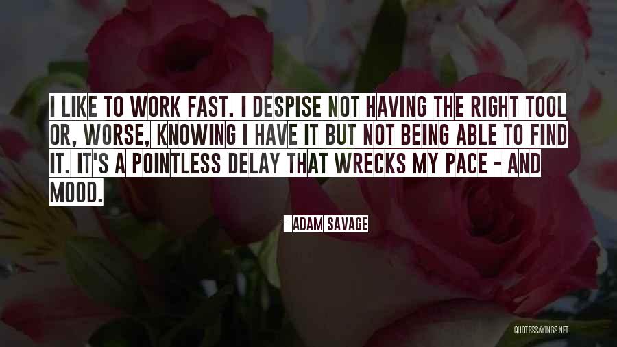 Berdien Steunenberg Quotes By Adam Savage Berdien Steunenberg Quotes By Adam Savage