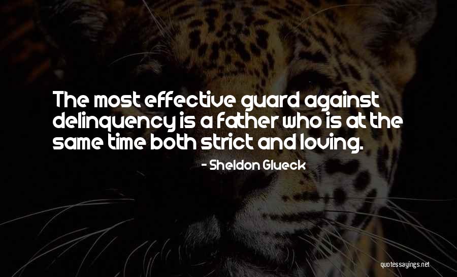 Berdinis Quotes By Sheldon Glueck Berdinis Quotes By Sheldon Glueck