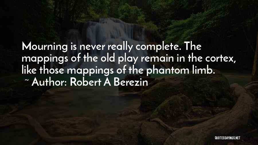 Bereavement Quotes By Robert A Berezin