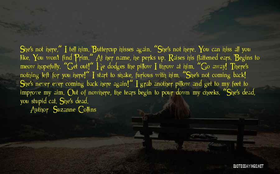 Bereavement Quotes By Suzanne Collins