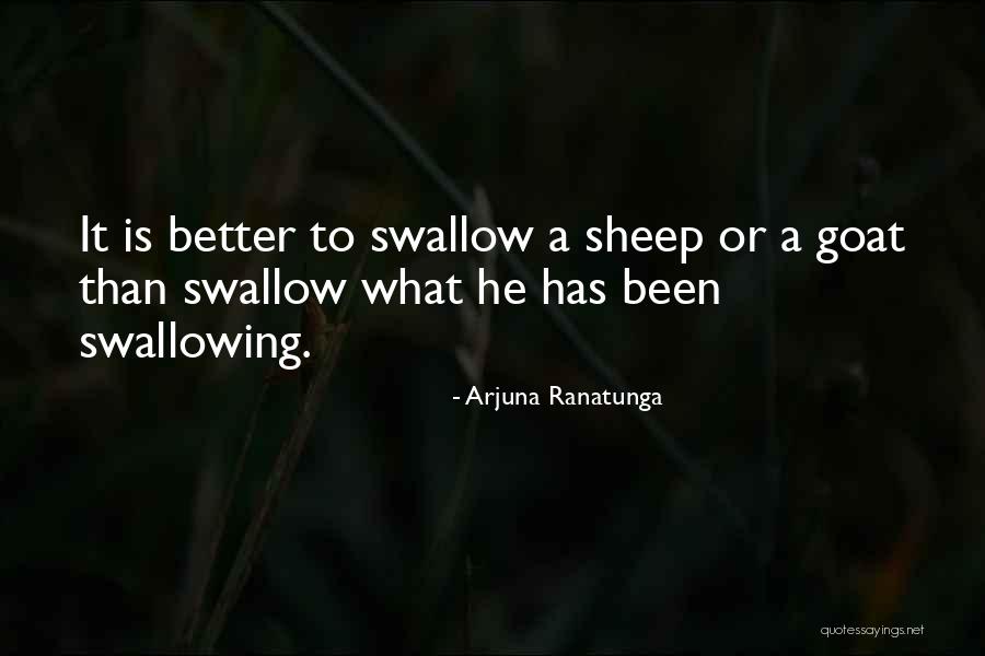 Berenang Hijab Quotes By Arjuna Ranatunga Berenang Hijab Quotes By Arjuna Ranatunga