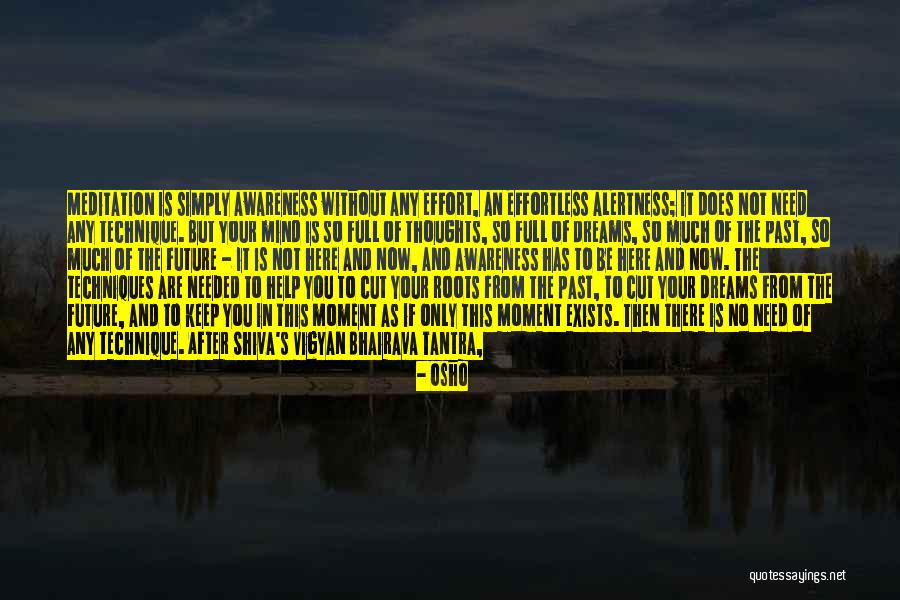 Berendt Bodell Quotes By Osho Berendt Bodell Quotes By Osho