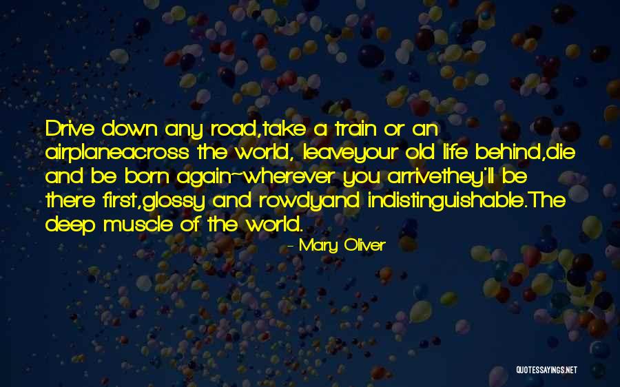 Berfikiran Sempit Quotes By Mary Oliver Berfikiran Sempit Quotes By Mary Oliver